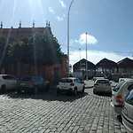 Segura Donkey